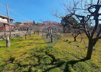Giardino - Casa indipendente VICO ETNA
2, Ragalna - foto 10