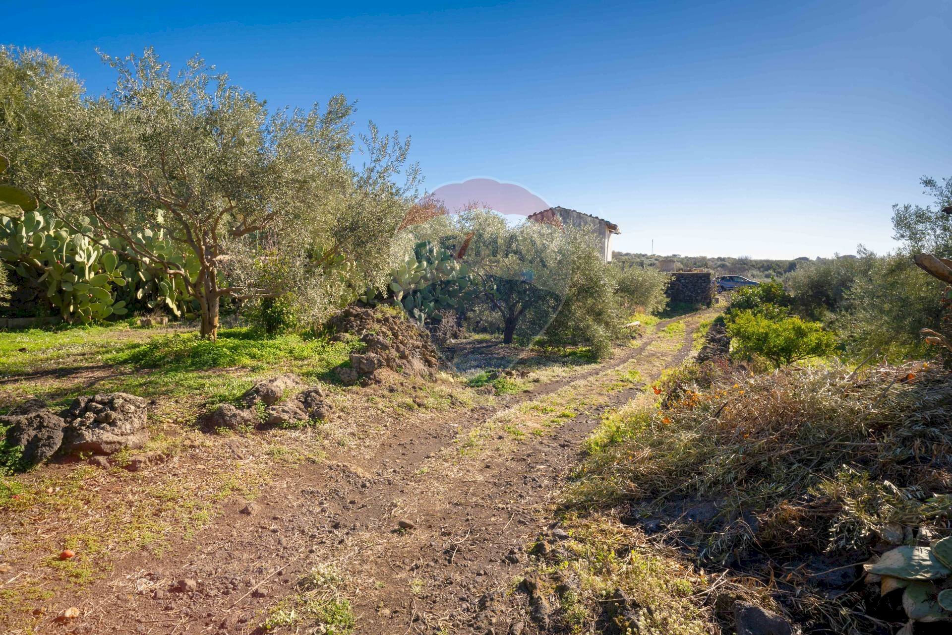 Giardino - Terreno agricolo Via Rocca Lupa, Paterno - foto 3