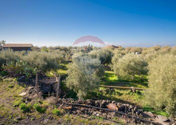 Vista delle montagne - Terreno agricolo Via Rocca Lupa, Paterno - foto 4