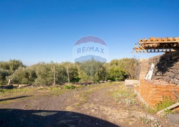 Giardino - Terreno agricolo Via Rocca Lupa, Paterno - foto 5