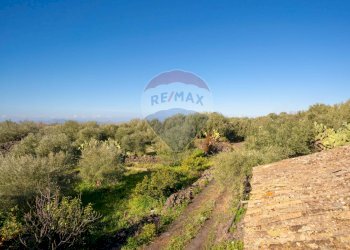 Vista delle montagne - Terreno agricolo Via Rocca Lupa, Paterno - foto 6