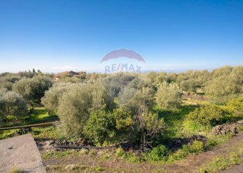 Vista delle montagne - Terreno agricolo Via Rocca Lupa, Paterno - foto 7