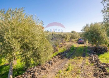 Giardino - Terreno agricolo Via Rocca Lupa, Paterno - foto 22
