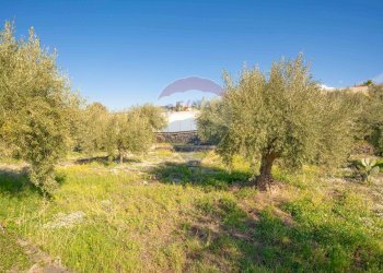 Giardino - Terreno agricolo Via Rocca Lupa, Paterno - foto 23
