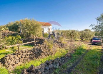 Giardino - Terreno agricolo Via Rocca Lupa, Paterno - foto 27