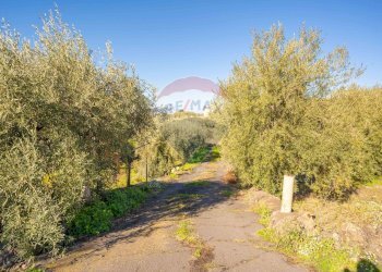 Giardino - Terreno agricolo Via Rocca Lupa, Paterno - foto 30