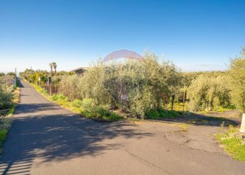 Non correlato - Terreno agricolo Via Rocca Lupa, Paterno - foto 31
