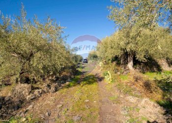 Giardino - Terreno agricolo Via Rocca Lupa, Paterno - foto 32