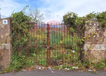 Giardino - Agricultural land via Ombra, Mascalucia - photo 5
