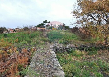 Giardino - Agricultural land via Ombra, Mascalucia - photo 6