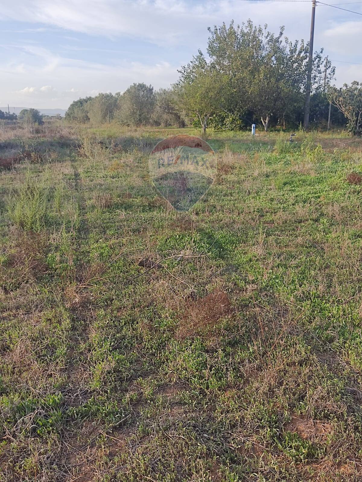 Giardino - Terreno edificabile via Giovanni Rosiglione, Caltagirone - foto 3