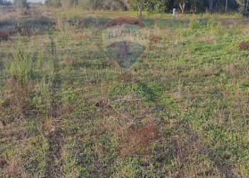 Giardino - Terreno edificabile via Giovanni Rosiglione, Caltagirone - foto 3