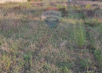 Giardino - Terreno edificabile via Giovanni Rosiglione, Caltagirone - foto 4