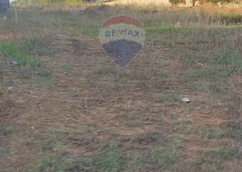 Giardino - Terreno edificabile via Giovanni Rosiglione, Caltagirone - foto 11