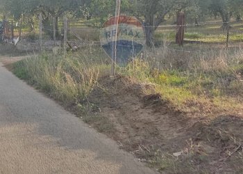 Non correlato - Terreno edificabile via Giovanni Rosiglione, Caltagirone - foto 14