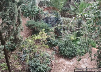 Giardino - Villa Cortile Palestro
 
15, Racalmuto - foto 9