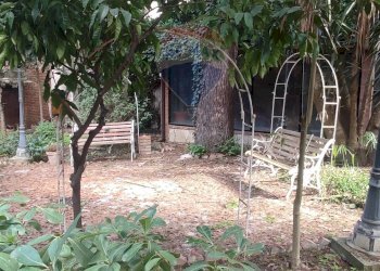 Giardino - Villa Cortile Palestro
 
15, Racalmuto - foto 14