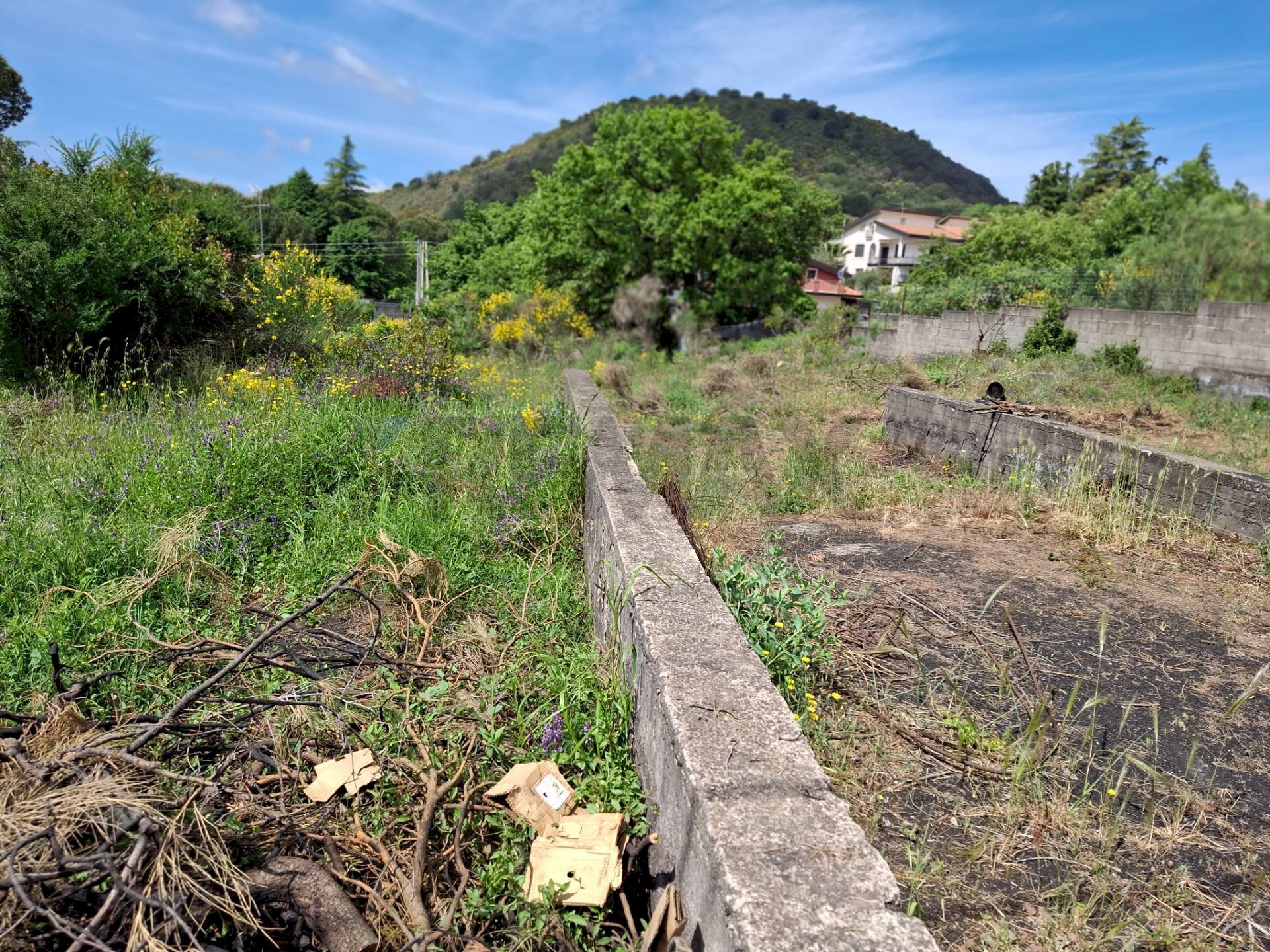 Vista delle montagne - Agricultural land Via Palermo
81, Nicolosi - photo 2