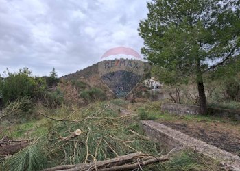 Vista delle montagne - Terreno agricolo Via Palermo
 
81, Nicolosi - foto 6