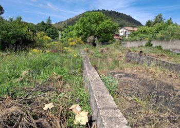 Vista delle montagne - Terreno agricolo Via Palermo
 
81, Nicolosi - foto 2