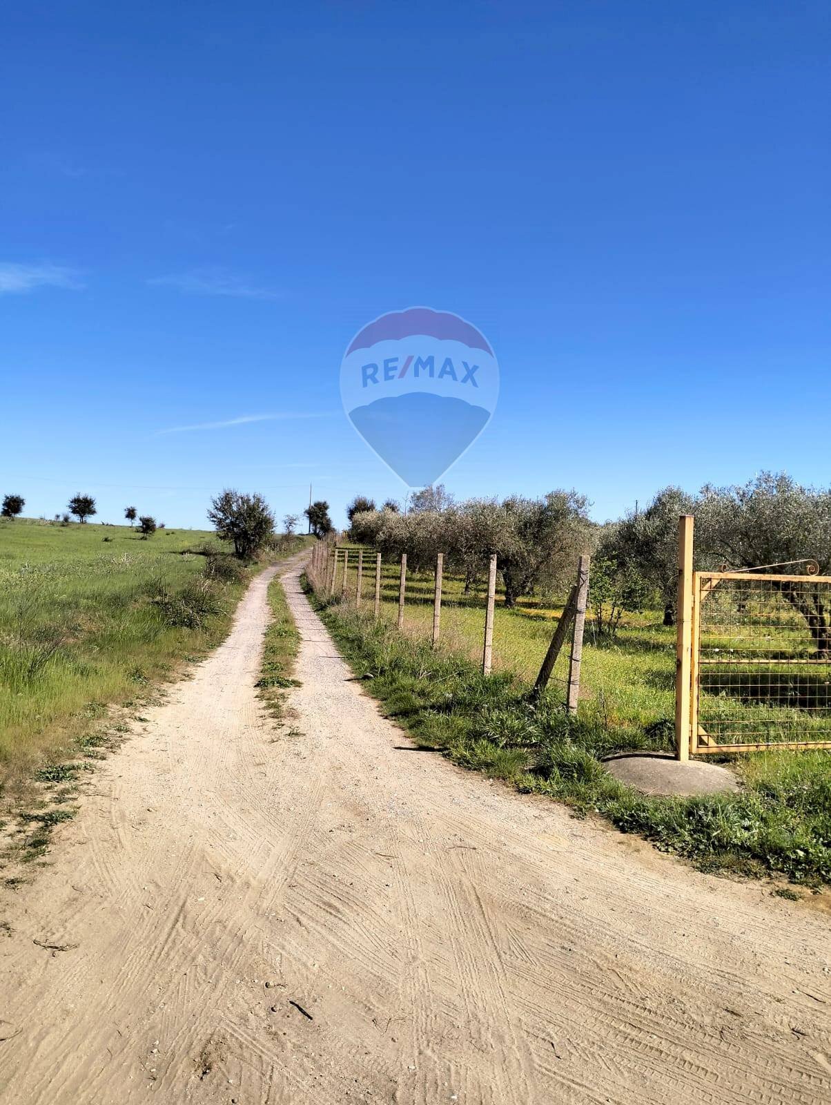 Giardino - Terreno agricolo C/da Evoli
 
snc, Caltagirone - foto 2