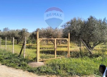 Giardino - Terreno agricolo C/da Evoli
 
snc, Caltagirone - foto 1