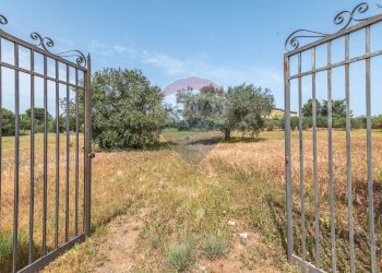 Giardino - Casa indipendente Contrada Piano Chiesa / Sp13
 
snc, Caltagirone - foto 1