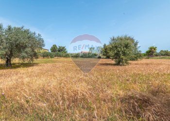 Giardino - Casa indipendente Contrada Piano Chiesa / Sp13
 
snc, Caltagirone - foto 13