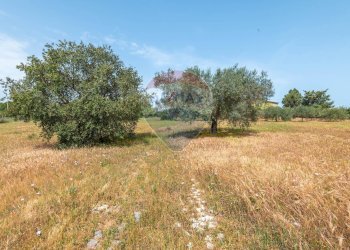 Giardino - Casa indipendente Contrada Piano Chiesa / Sp13
 
snc, Caltagirone - foto 14