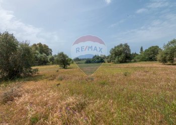 Giardino - Casa indipendente Contrada Piano Chiesa / Sp13
 
snc, Caltagirone - foto 15