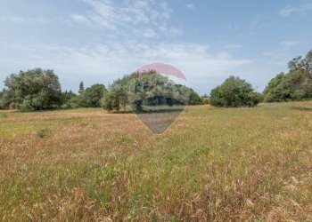 Giardino - Casa indipendente Contrada Piano Chiesa / Sp13
 
snc, Caltagirone - foto 16