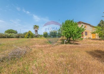 Giardino - Casa indipendente Contrada Piano Chiesa / Sp13
 
snc, Caltagirone - foto 17