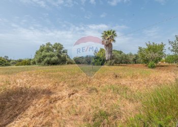 Giardino - Casa indipendente Contrada Piano Chiesa / Sp13
 
snc, Caltagirone - foto 21