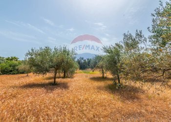Giardino - Casa indipendente Contrada Piano Chiesa / Sp13
 
snc, Caltagirone - foto 41