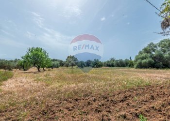 Giardino - Casa indipendente Contrada Piano Chiesa / Sp13
 
snc, Caltagirone - foto 45