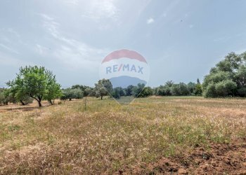 Giardino - Casa indipendente Contrada Piano Chiesa / Sp13
 
snc, Caltagirone - foto 46
