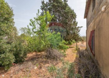 Giardino - Casa indipendente Contrada Piano Chiesa / Sp13
 
snc, Caltagirone - foto 47