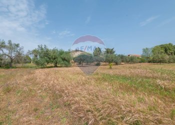 Giardino - Casa indipendente Contrada Piano Chiesa / Sp13
 
snc, Caltagirone - foto 49