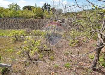 Giardino - Villa Via Vacchera
 
12, Pedara - foto 14