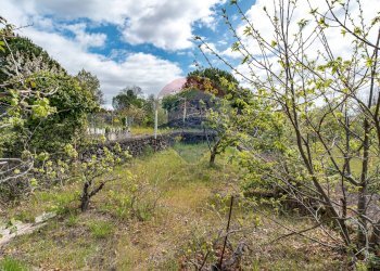 Giardino - Villa Via Vacchera
 
12, Pedara - foto 18