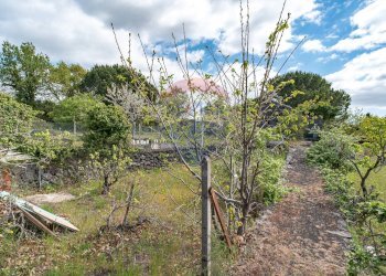 Giardino - Villa Via Vacchera
 
12, Pedara - foto 19