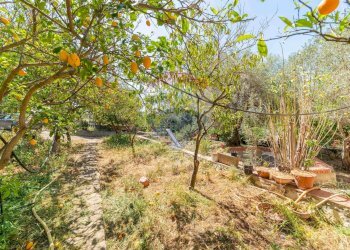 Giardino - Villa C.da Cozzo Telegrafo / SP57 per Brucoli
 
snc, Augusta - foto 44