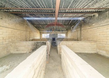 Parcheggio - Villa C.da Cozzo Telegrafo / SP57 per Brucoli
 
snc, Augusta - foto 55