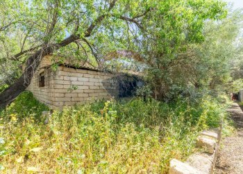 Giardino - Villa C.da Cozzo Telegrafo / SP57 per Brucoli
 
snc, Augusta - foto 56