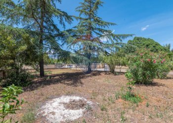 Giardino - Villa C/da Valverde - Via Luigi Enaudi, Grammichele - foto 6