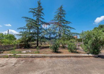 Giardino - Villa C/da Valverde - Via Luigi Enaudi, Grammichele - foto 7