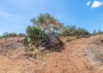 Non correlato - Villa C/da Valverde - Via Luigi Enaudi, Grammichele - foto 29