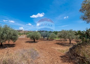 Giardino - Villa C/da Valverde - Via Luigi Enaudi, Grammichele - foto 31