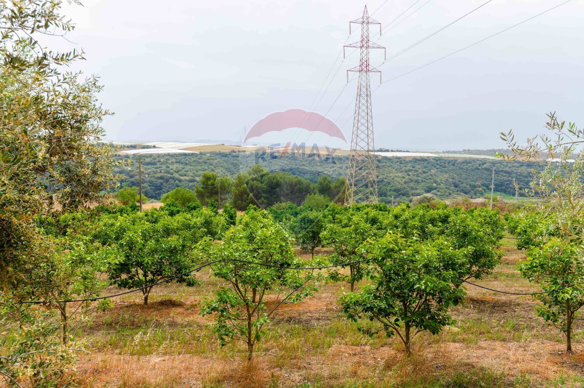 Giardino - Rustico sp 34 bongiovanni cda vaccarizzo, Caltagirone - foto 2