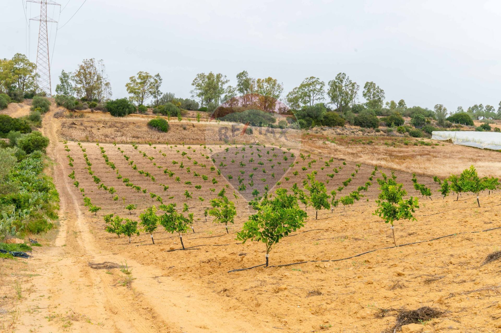 Giardino - Rustico sp 34 bongiovanni cda vaccarizzo, Caltagirone - foto 3